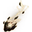 歌うような弦